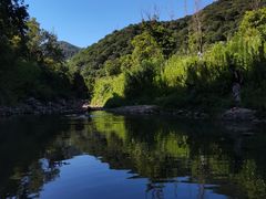 -北仑森林植物园