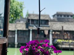 -乌镇西栅景区