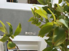-宴南庭·闽味私房菜