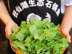薄荷-抚仙湖生态石锅鱼野生菌(告庄店)