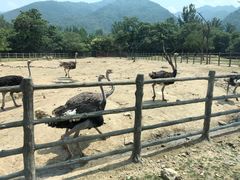 -西安秦岭野生动物园