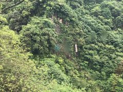 -青城山