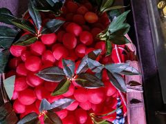 -重庆十八梯传统风貌区