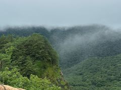 -五女峰国家森林公园