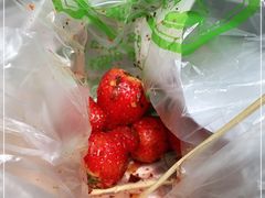 -雪儿钱局泡菜