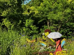 -上海共青森林公园