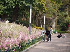 -五通灯塔公园