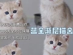 -lincat·猫舍(广州店)