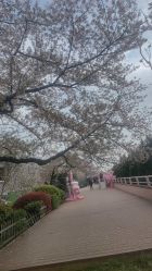 -晴川假日酒店·宴会厅·会议厅