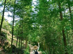 -龙窝子