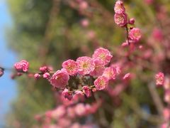 -静安雕塑公园