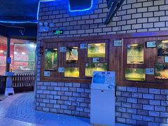 -上海大自然野生昆虫馆(东方明珠·爬宠昆虫探索中心)