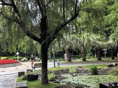 -苏州河梦清园环保主题公园