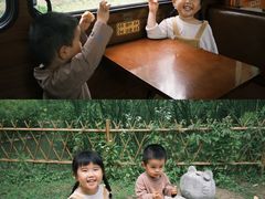 -合肥滨湖国家森林公园