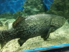 -福州罗源湾海洋世界旅游区