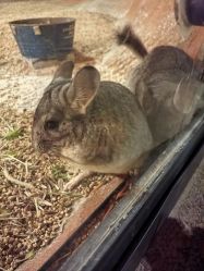 -酷嗒动物文化乐园(cutezoo西溪乐天城店)