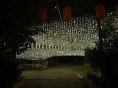 -望湖烤鱼