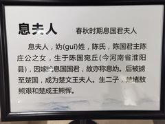 -信阳博物馆