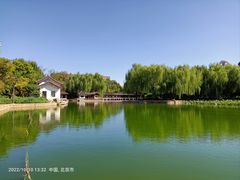 -团结湖公园