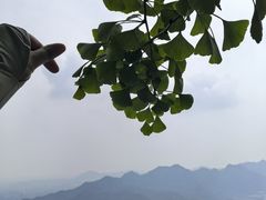 -大慈岩风景区
