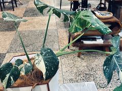 -知物癖(牛王庙店)