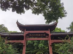 -杭州半山国家森林公园