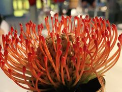 -三利音·浦之舟(滨江大道店)