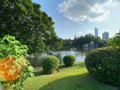 -晓港公园
