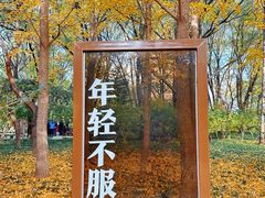 -玲珑塔公园
