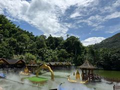 -西双版纳原始森林公园