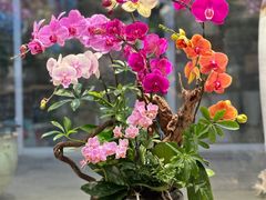 -上海虹桥花卉市场经营管理有限公司-停车场