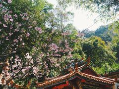 -求水山公园