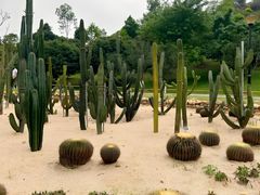 -东莞植物园