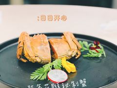-食神鱼头佛跳墙(百子湾旗舰店)