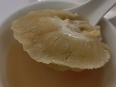 -新陶陶酒家