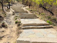 -北京西山国家森林公园