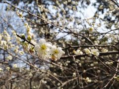 -北寺塔