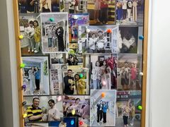 -青奢宠物·青奢猫舍