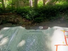 -崂山巨峰游览区
