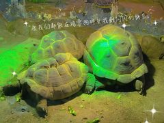 -太原动物园