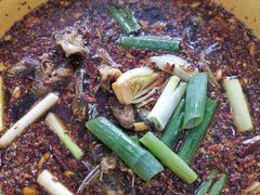 麻辣鱼-吴记迎风楼北渡鱼