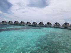 -中央格兰德岛温泉度假酒店 - 全包