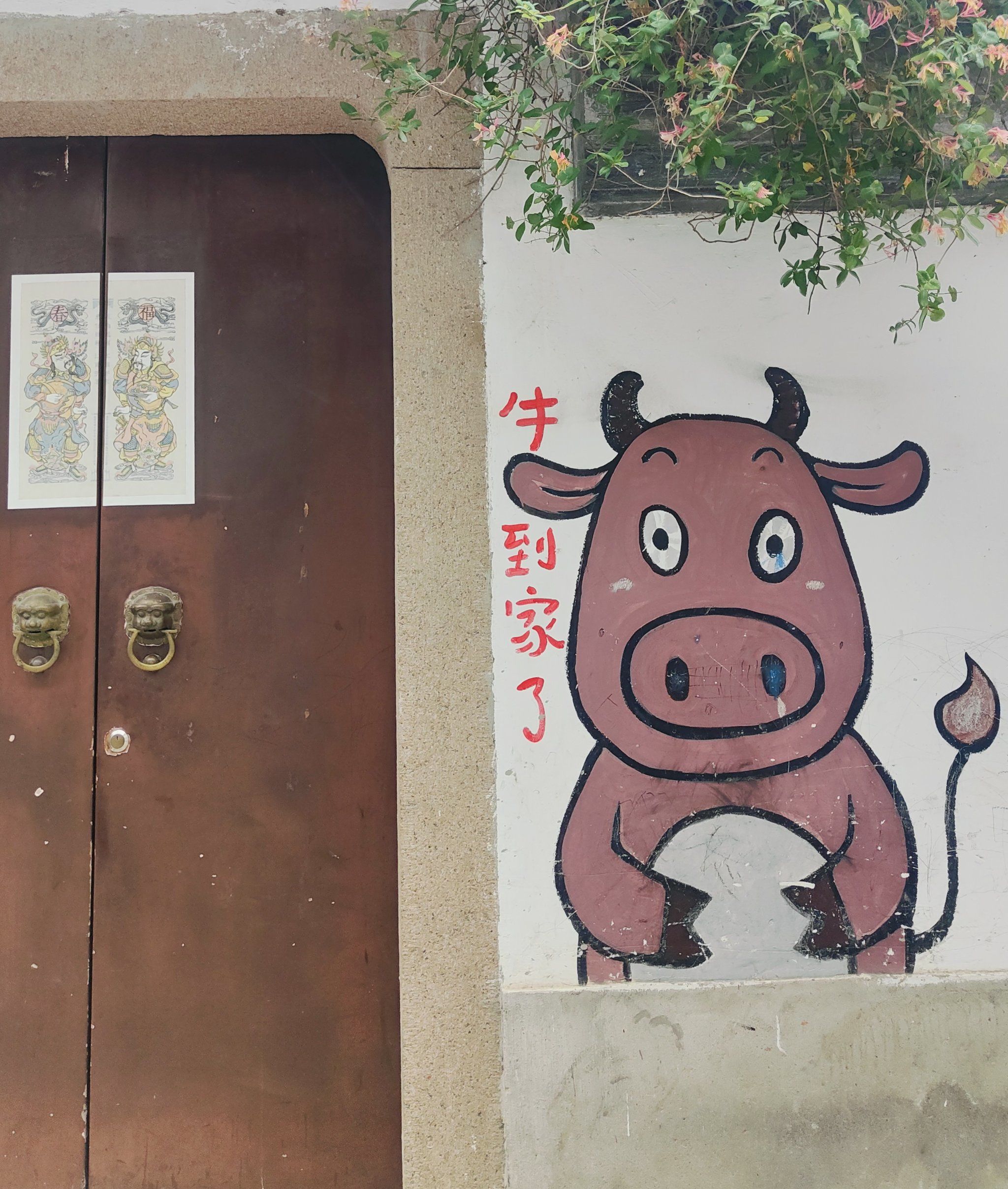 被墙了什么意思，怎么解决被墙问题