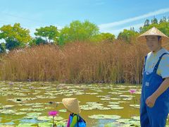 -上海长兴岛郊野公园