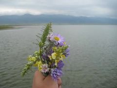 -青海湖国家重点风景名胜区