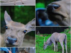 -乐和乐都主题乐园