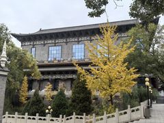 -文瀛公园