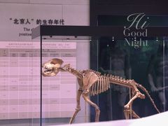 -北京周口店北京人遗址博物馆