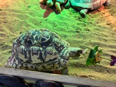 -上海昆虫博物馆