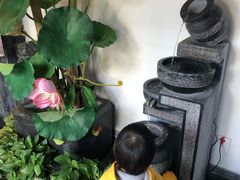 -徽镇小厨·经典徽菜(马连道店)